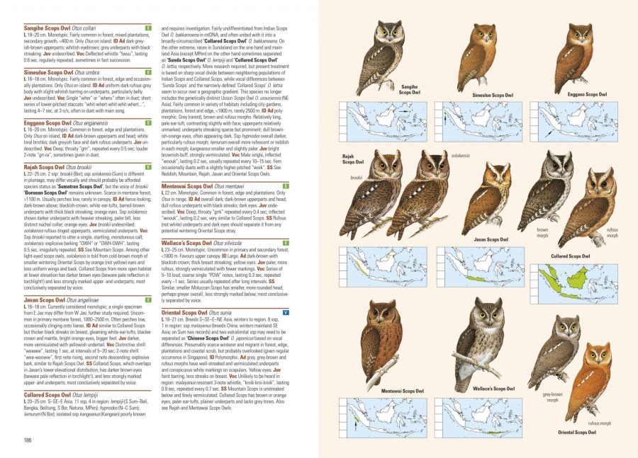 Birds of the Indonesian Archipelago sample page